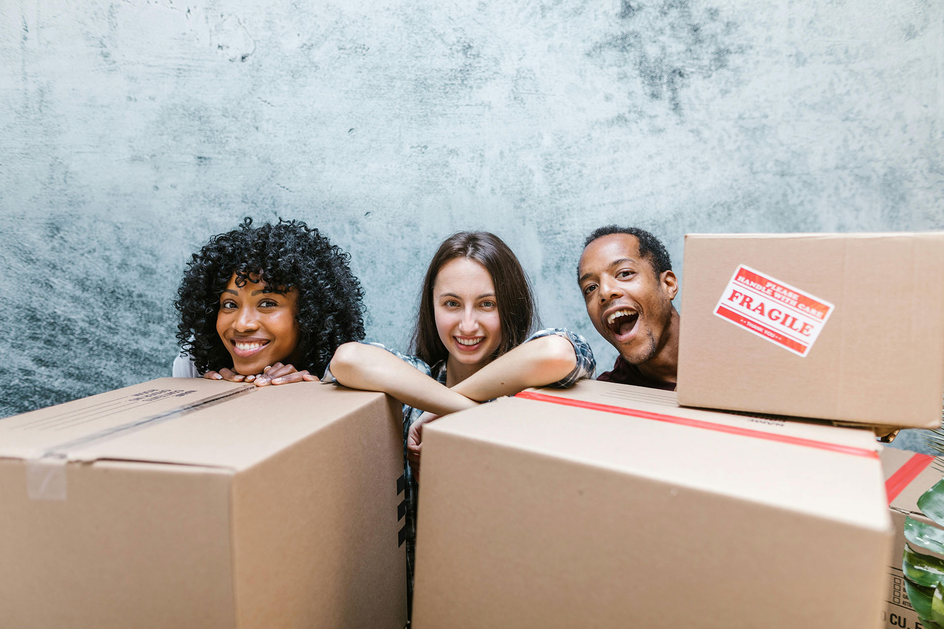 4 things to do when moving house